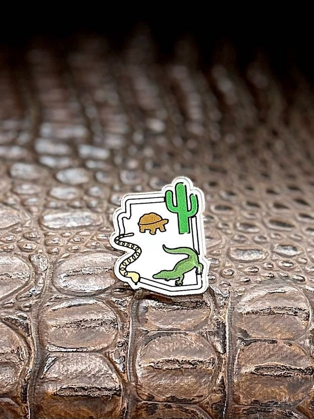 Pin- PHS Logo