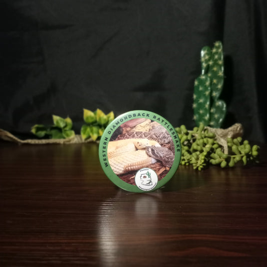 Magnet- Diamondback Rattlesnake