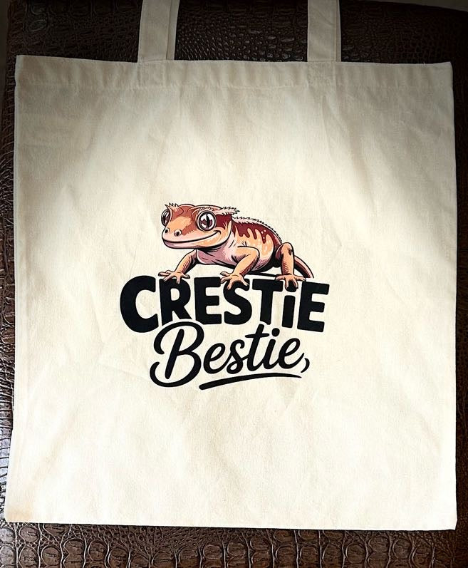 Bag- Debbie Totes