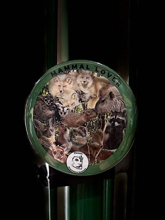 Magnet- Mammal Lover Collage